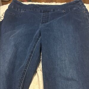 Chico's Dark Blue Jeggings